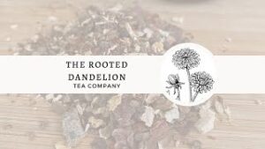 Guardians of the Geekery – Episode 23-15: The Rooted Dandelion Tea Company